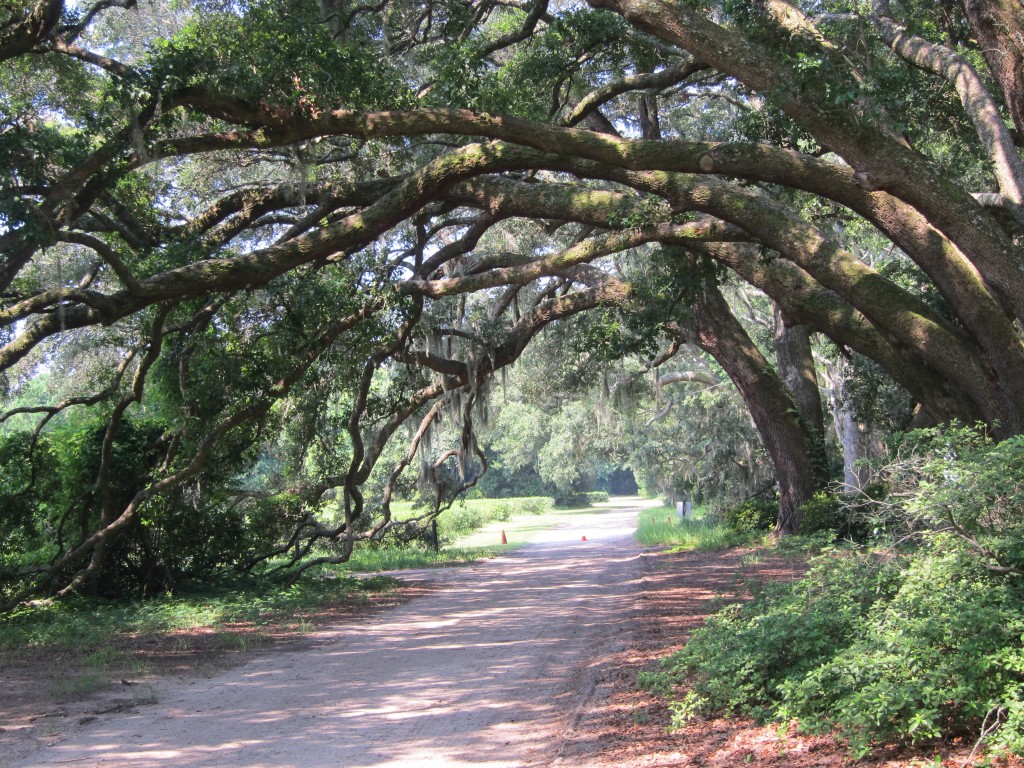 Entrance to plantation