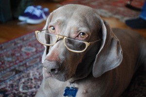 Sandy: Best at reading (and owned by bookstore folks, naturally.)